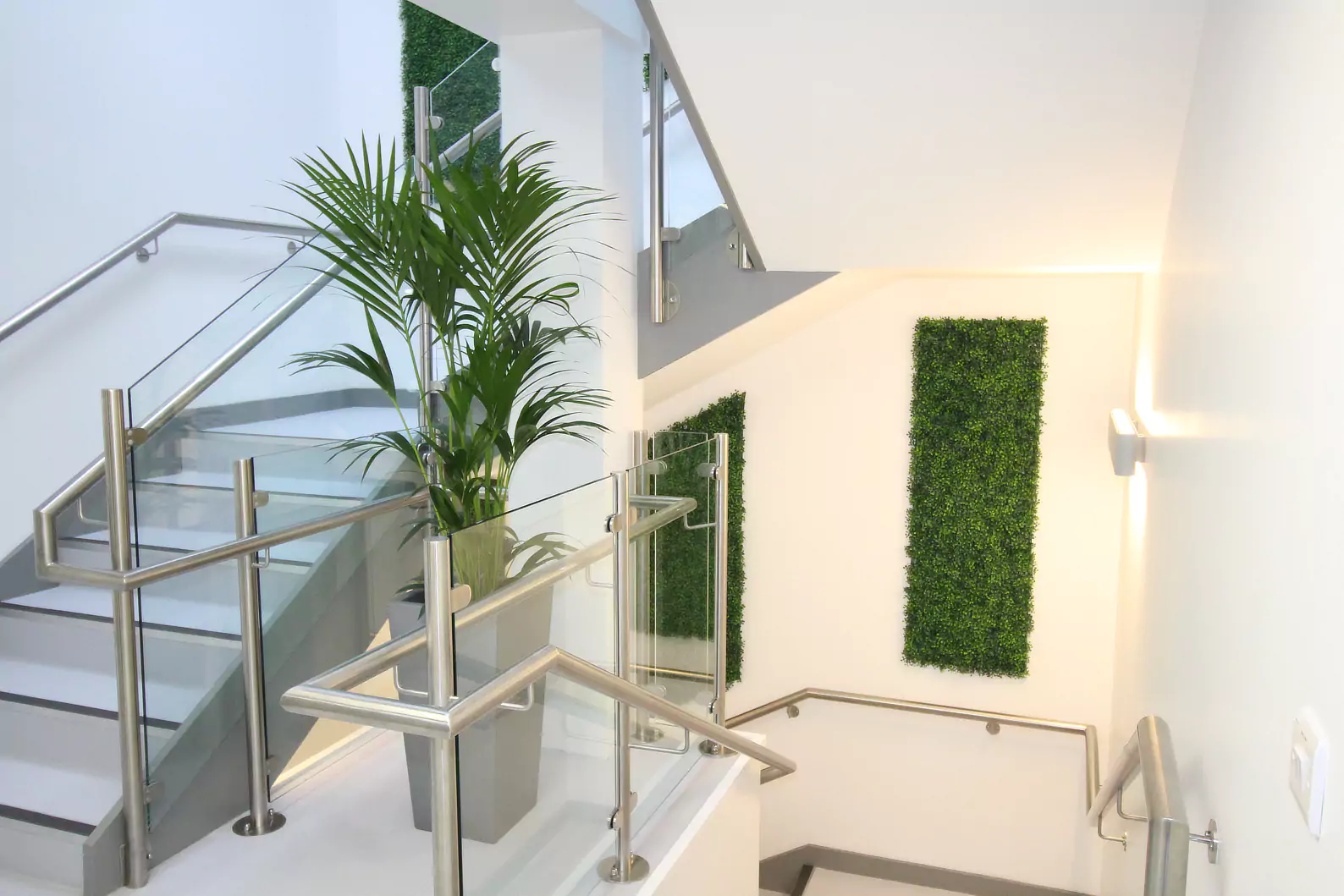 The interior of a contemporary modern medical healthcare dental clinic, with white interior walls and green moss and plants throughout the stair well, with plenty of natural light coming inside.